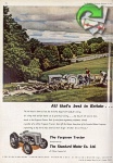 Ferguson 1952 0.jpg